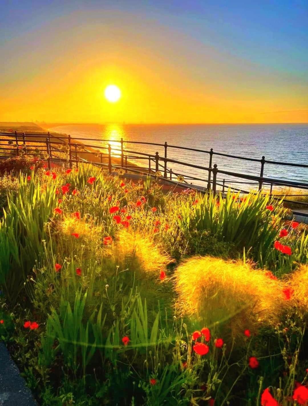 Captain'S Deck Beach Balcony Perfectlysaltburn ภายนอก รูปภาพ